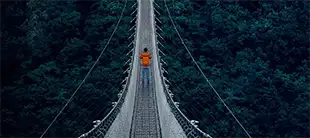 Person crossing a suspension bridge through a forest, representing the Innovation and Technology course