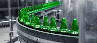 Green glass bottles moving along a production line